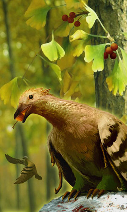 Sapeornis chaoyangensis