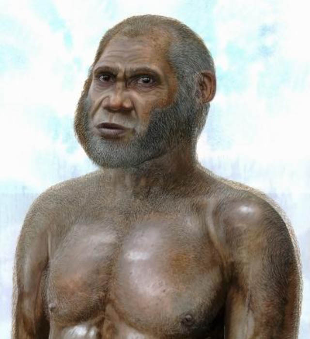 An artist's reconstruction of fossils from two caves in southwest China