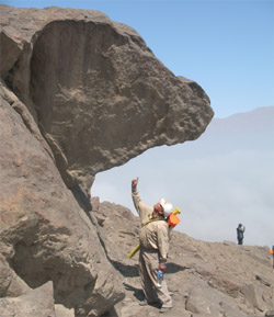 Stone condors are common in the Andes, this is the first one found on the coast