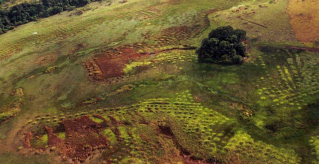 An aerial view shows the pre-Columbian agricultural raised fields in seasonally flooded savannas of French Guiana
