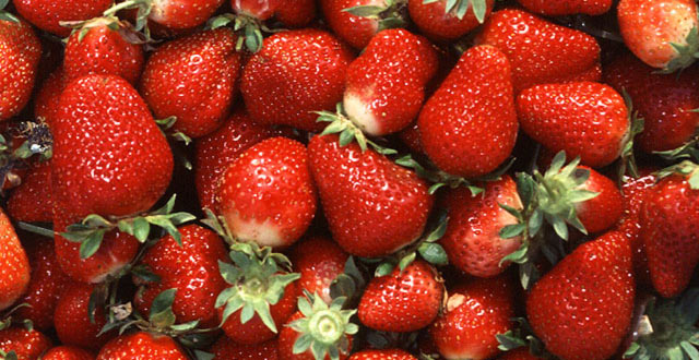 Strawberries