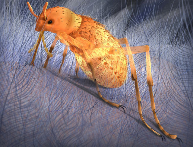An artist’s impression of Pseudopulex jurassicus