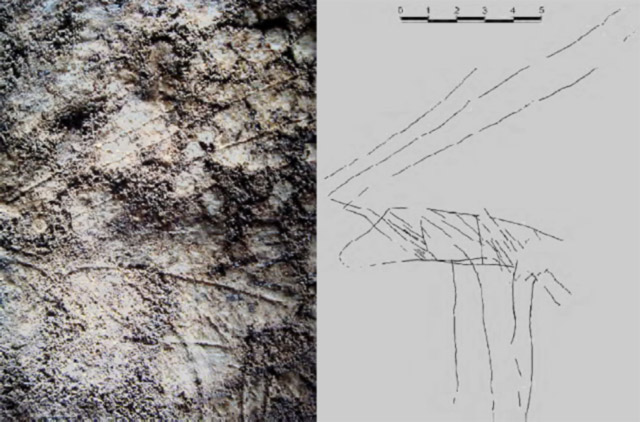 The engraving of a reindeer in Cathole Cave (George Nash)