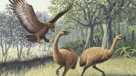 Two New Zealand moa and Giant Haast’s eagle. Image credit: John Megahan / PLoS Biology.