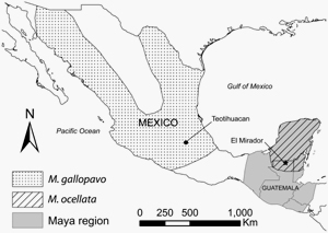 Pre-Hispanic range of M. ocellata and M. gallopavo in Mesoamerica, and location of the El Mirador archaeological site (Thornton et al)