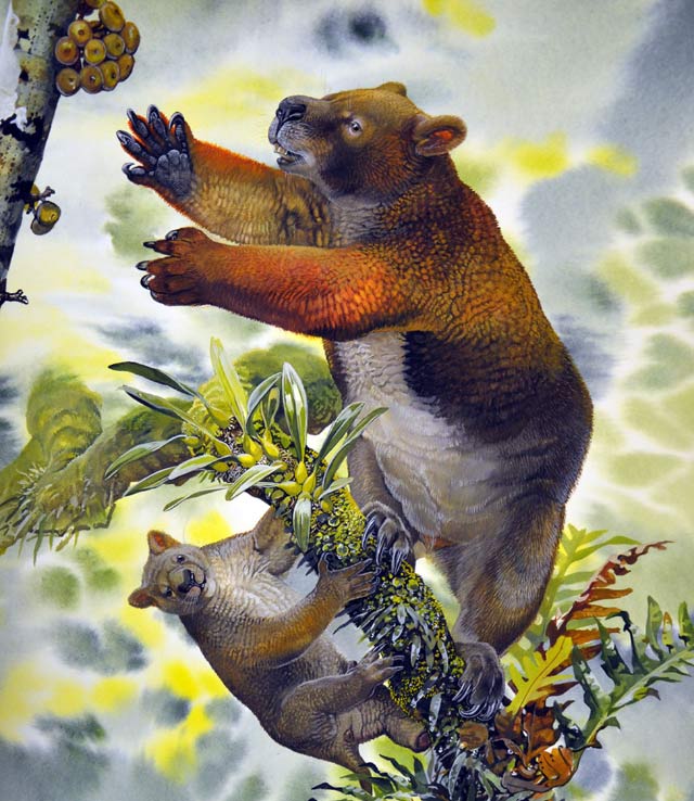 This is an artist's reconstruction of Nimbadon mother and juvenile (Peter Schouten)