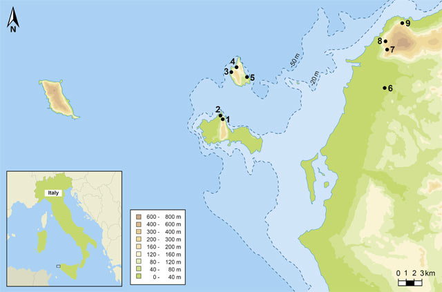 This map shows location of upper Palaeolithic and Mesolithic sites on the Ègadi Islands and on Sicily. These cave sites include: Grotta d’Oriente (1) and Grotta dell’Ucceria (2) on the island of Favignana; Grotta di Punta Capperi (3), Grotta di Cala dei Genovesi (3), Grotta Schiacciata (4) and Grotta di Cala Calcara (5) on the island of Levanzo; Grotta Maiorana (6), Riparo San Francesco (7), Grotta Martogna (8), Grotta Emiliana (9) and Grotta Maltese (9) on the mainland of Sicily (Mannino MA et al)