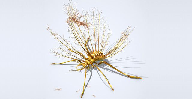This is an artist’s reconstruction of H. diogenesi (J. A. Peñas)