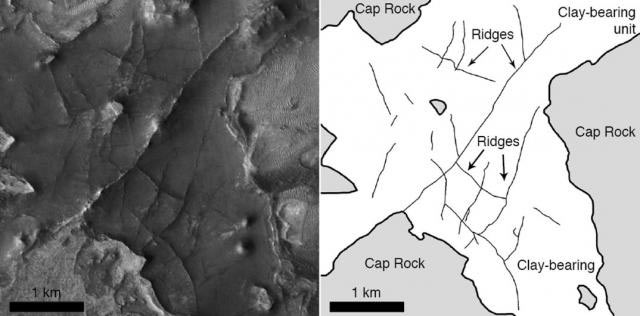 This Mars Reconnaissance Orbiter image shows ridges formed by fossilized subsurface water flow. Orientation of the ridges, mapped by researchers, is consistent with fractures formed by impact events (NASA / Mustard Lab / Brown University)