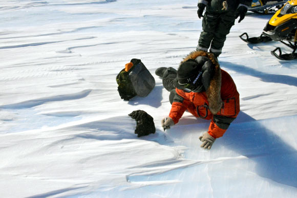 Belgo-Japanese team members examining an 18kg meteorite (© International Polar Foundation / Vinciane Debaille) Belgo-Japanese team members examining an 18kg meteorite (© International Polar Foundation / Vinciane Debaille)