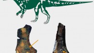 Top: skeletal reconstruction of a new herbivorous dinosaur with known material shown in white. Bottom: dinosaur fossils with bite marks made by crocodyliforms (Boyd CA et al)