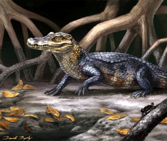 Life reconstruction of Culebrasuchus mesoamericanus, one of the two newly discovered prehistoric caimans, in its ancient near coastal environment during the early Miocene of Panama (Danielle Byerley / Florida Museum of Natural History) Life reconstruction of Culebrasuchus mesoamericanus, one of the two newly discovered prehistoric caimans, in its ancient near coastal environment during the early Miocene of Panama (Danielle Byerley / Florida Museum of Natural History)