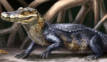 Life reconstruction of Culebrasuchus mesoamericanus, one of the two newly discovered prehistoric caimans, in its ancient near coastal environment during the early Miocene of Panama (Danielle Byerley / Florida Museum of Natural History)