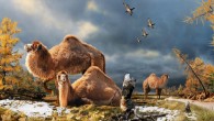 Illustration of the High Arctic camel on Ellesmere Island during the Pliocene warm period, about 3.5 million years ago (© Julius Csotonyi)