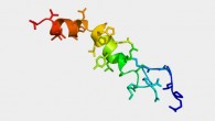 Structure of the peptide hypocretin, also known as orexin