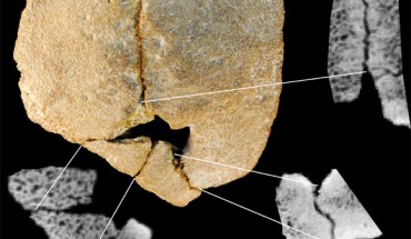 100,000 year old human skull fossil, known as Xujiayao 11 (Wu X-J et al)