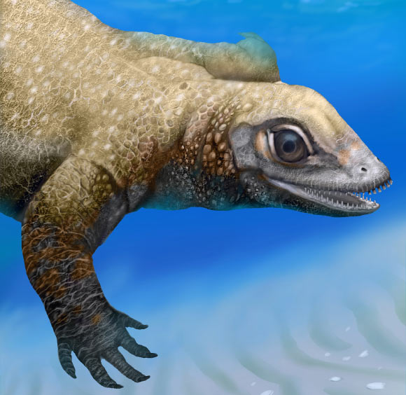 Reconstruction of the juvenile placodont Palatodonta bleekeri (Jaime Chirinos)