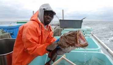 NEFSC researcher Larry Alade holds a tagged monkfish prior to release (Pasha Ivanov)