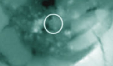 Electron image of a silica grain found in GRV 021710 meteorite