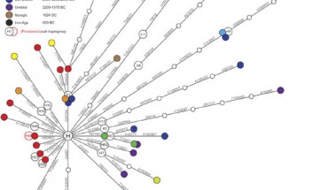 This image shows phylogenetic network of 39 prehistoric mitochondrial genomes sorted into two groupings - Early Neolithic, left, and Mid-to-Late Neolithic, right. Node colors represent archaeological cultures. LBK - Linear Pottery Culture (Paul Brotherton et al)