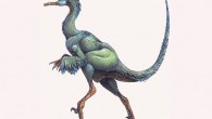 Troodon formosus