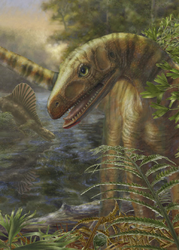 10 million years after the mass extinction, members of the archosaur reptiles – such as the 10-foot-long Asilisaurus pictured – had more restricted geographic ranges compared to the communities of four-legged animals that existed before the extinction (Marlene Donnelly / Field Museum of Natural History)