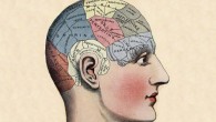 The discovery of a new molecular mechanism that helps trigger long-term memory formation adds a piece to the puzzle in the ongoing effort to uncover the mysteries of memory (University of Minnesota)