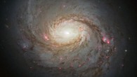 The spiral galaxy NGC 1068 (NASA / ESA / A. van der Hoeven)