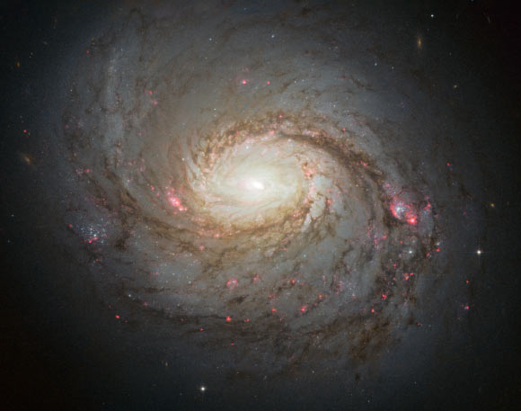 The spiral galaxy NGC 1068 (NASA / ESA / A. van der Hoeven)