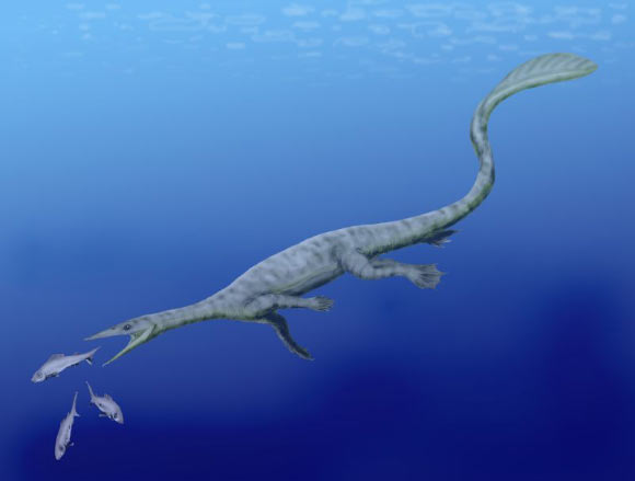 Reconstruction of a thalattosaur (Nobu Tamura / CC BY 3.0)