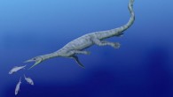 Reconstruction of a thalattosaur (Nobu Tamura / CC BY 3.0)
