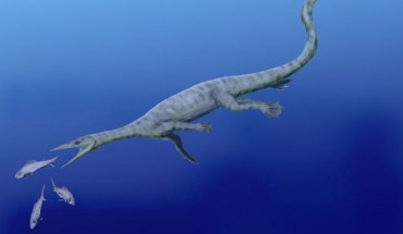 Reconstruction of a thalattosaur (Nobu Tamura / CC BY 3.0)