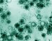 Micrograph of a herpes simplex virus (CDC / Dr Erskine Palmer)