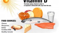 According to Dr Sinha from Newcastle University and his colleagues, muscle function improves with vitamin D supplements which are thought to enhance the activity of the mitochondria - the batteries of the cell (Richard Stockton College of New Jersey)