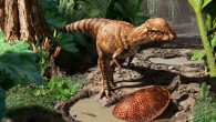 Reconstruction of Acrotholus audeti (Julius Csotonyi)