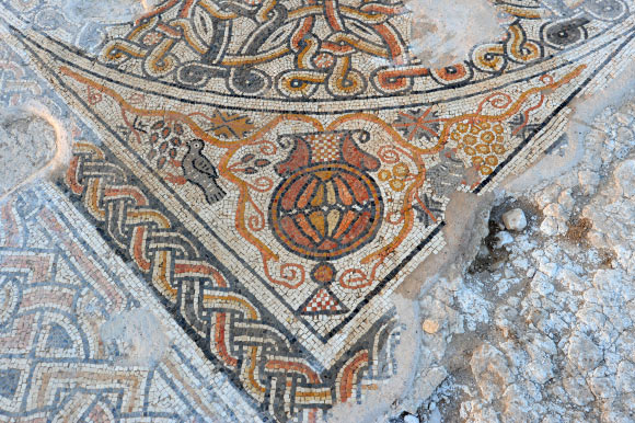 Detail of a 1,500-year-old mosaic found at an archaeological site in Kibbutz Bet Qama, Israel (Yael Yolovitch)