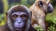 Artist’s impression of the newly discovered Rukwapithecus, front, and Nsungwepithecus, right (Mauricio Anton)