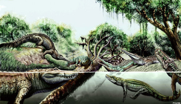 At least 7 crocodile species lived in the Urumaco region, Venezuela, during the late Miocene (University of Zurich)