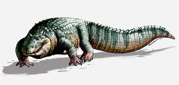 Crocodylus falconensis was over 39 feet long (University of Zurich)