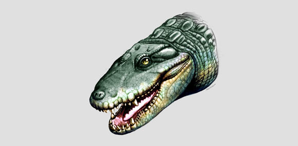 Globidentosuchus brachyrostris (University of Zurich)
