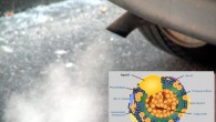 According to the new research, breathing motor vehicle emissions triggers a change in high-density lipoprotein, also known as the ‘good cholesterol.’ The inset shows structure of high-density lipoprotein (University of California Davis' Foods For Health Institute)