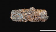The Gerzeh bead is the earliest discovered use of iron by ancient Egyptians. Scale bar - 1 cm (Diane Johnson et al)