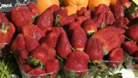 Nordic diet, rich in berries, fruit and vegetables, is associated with lower levels of 'bad' cholesterol and inflammation (Nino Barbieri / CC BY-SA 3.0)