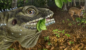 Reconstruction of Barbaturex morrisoni (Angie Fox / Nebraska State Museum of Natural History, University of Nebraska-Lincoln)