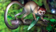Restoration of Archicebus achilles (Xijun Ni / Chinese Academy of Sciences)