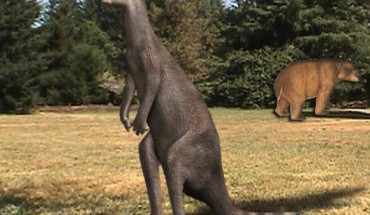 This image shows extinct marsupials from the Pliocene of Australia: the kangaroo Protemnodon and the large marsupial herbivore Euryzygoma dunense in the background (Protemnodon by Nobu Tamura / CC BY 3.0; Euryzygoma by Anne Musser / © Australian Museum)