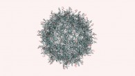 This diagram shows an adeno-associated virus. Prof Schaffer and colleagues changed ten amino acids in one of its coat proteins, shown in orange, to get it to pass through retinal cells to the target photoreceptors (University of California, Berkeley)