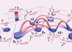 Two mutations altered the energetic landscape of protein-ligand binding. A, left: thermodynamic landscapes of the ensemble of interaction networks of the synthetic estrogen NPT and residues 41, 75, and 82 are shown for AncSR2 - the ancestor of the nonaromatized steroid receptors clade - containing the ancestral states glu41 and leu75; or, B, the derived states GLN41 and MET75 (adapted from Michael J. Harms et al., 2013)