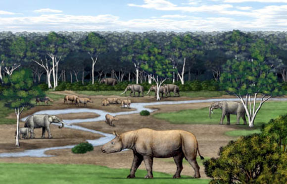 Reconstruction of the Late Miocene habitat of Aceratherium porpani (Chen Yu)