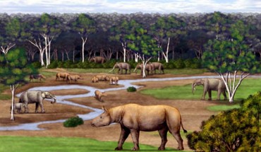Reconstruction of the Late Miocene habitat of Aceratherium porpani (Chen Yu)